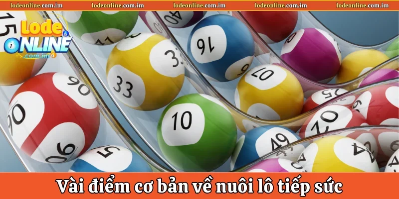 Vài điểm cơ bản về nuôi lô tiếp sức